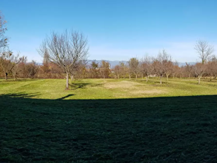 Immagine 19 di Rustico / casale in vendita  in Via nicolosi a Vicenza