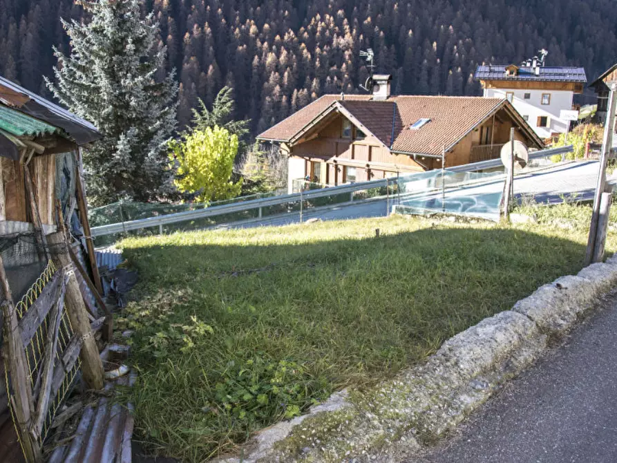 Immagine 3 di Rustico / casale in vendita  in Zanon a Rabbi