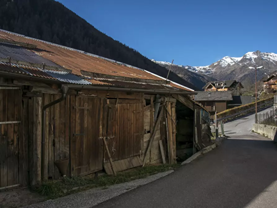 Immagine 4 di Rustico / casale in vendita  in Zanon a Rabbi