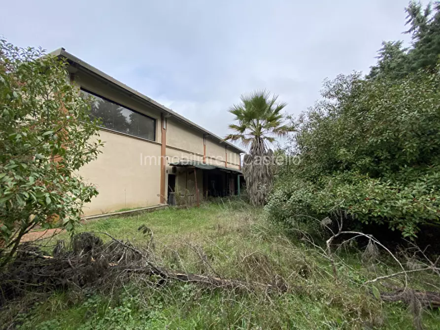 Immagine 2 di Attività commerciale in vendita  a Castiglione Del Lago