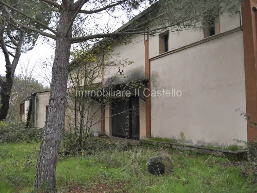 Immagine 3 di Attività commerciale in vendita  a Castiglione Del Lago