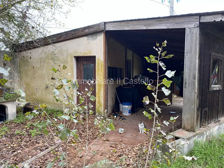 Immagine 28 di Attività commerciale in vendita  a Castiglione Del Lago