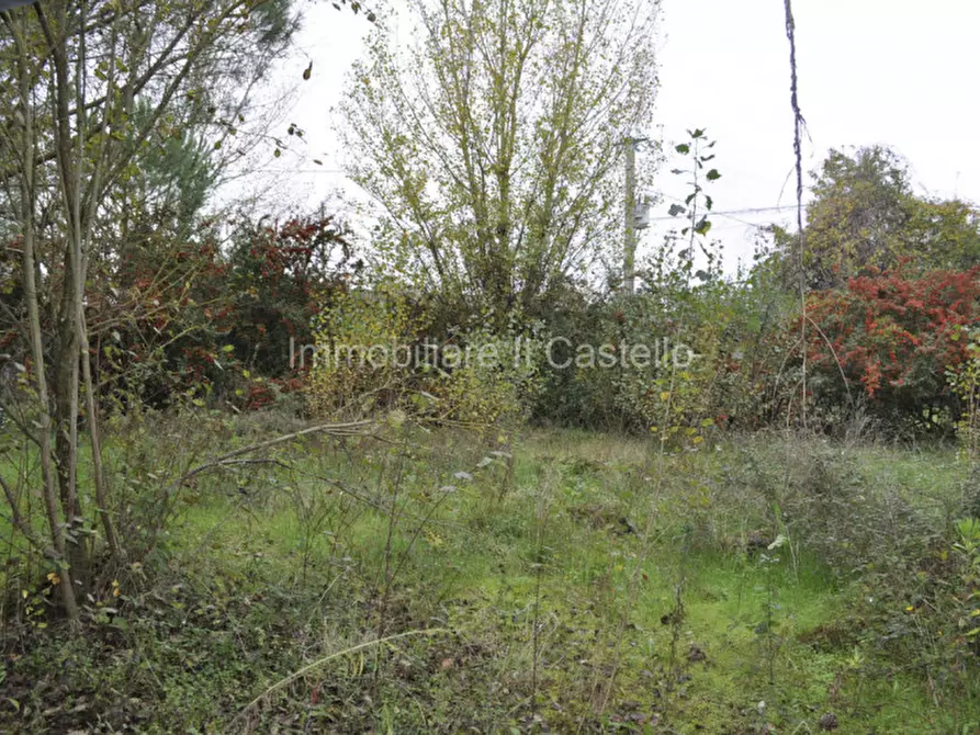 Immagine 29 di Attività commerciale in vendita  a Castiglione Del Lago