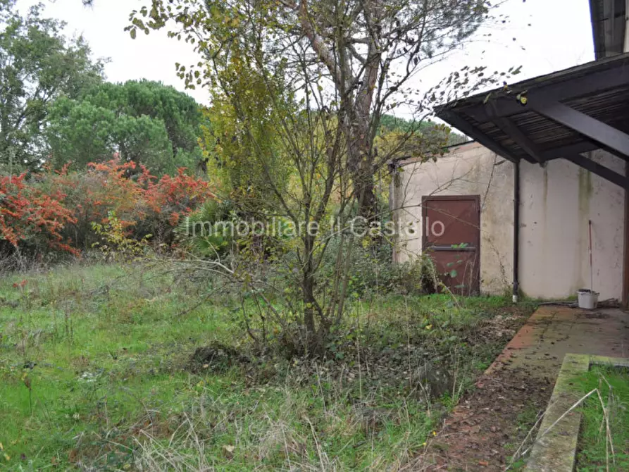 Immagine 30 di Attività commerciale in vendita  a Castiglione Del Lago