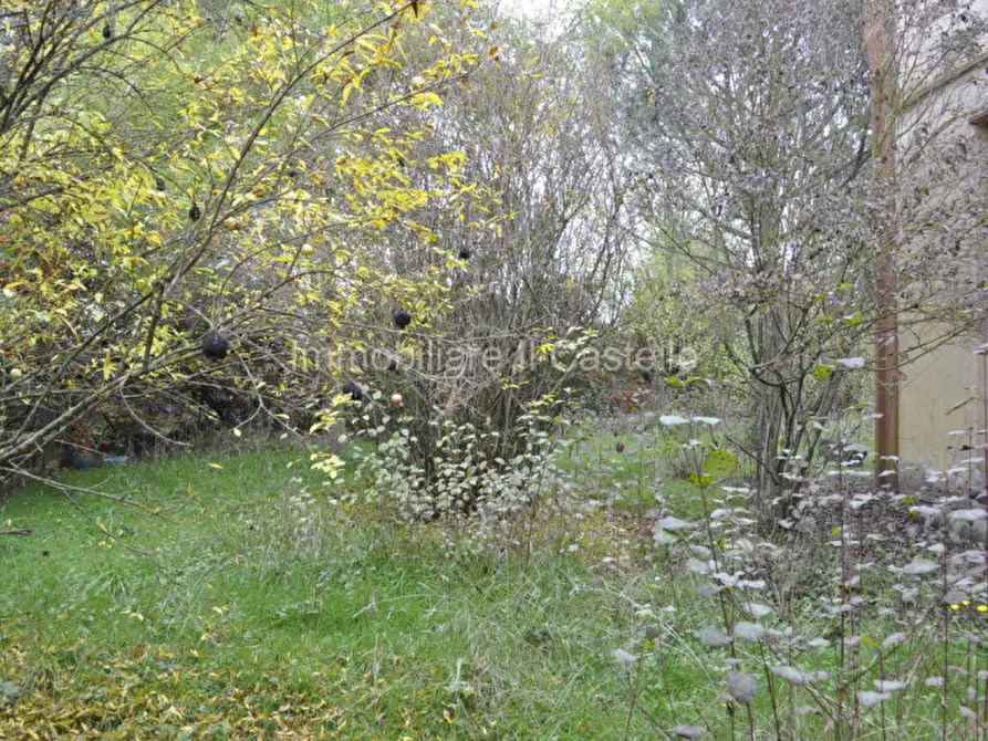 Immagine 31 di Attività commerciale in vendita  a Castiglione Del Lago