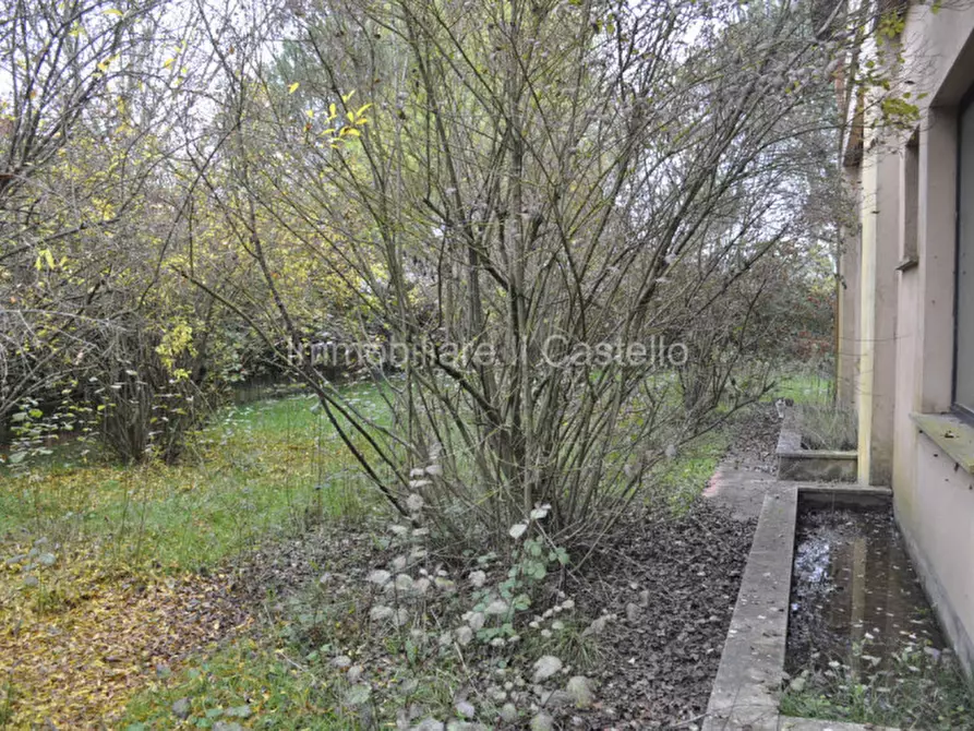 Immagine 32 di Attività commerciale in vendita  a Castiglione Del Lago