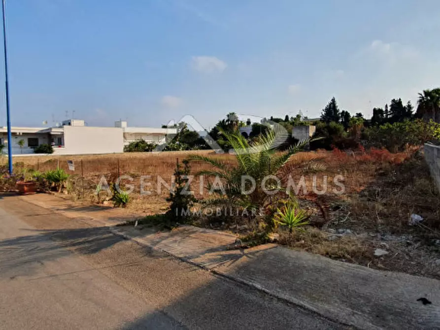 Immagine 2 di Terreno in vendita  in monte rosa a Racale