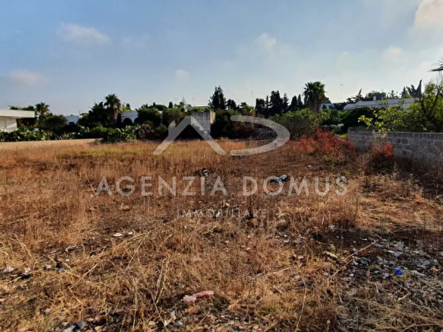 Immagine 3 di Terreno in vendita  in monte rosa a Racale
