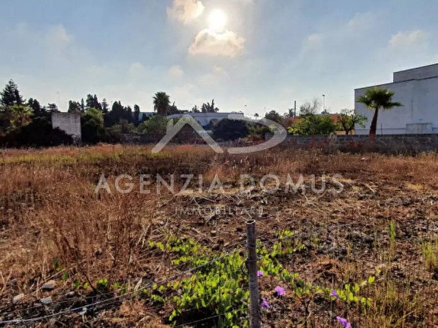 Immagine 4 di Terreno in vendita  in monte rosa a Racale