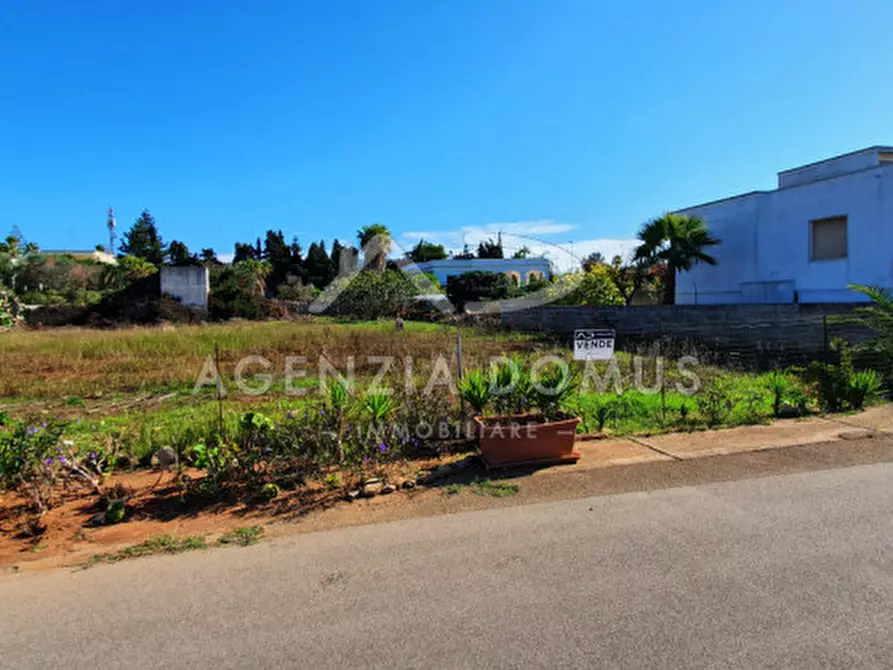 Immagine 5 di Terreno in vendita  in monte rosa a Racale