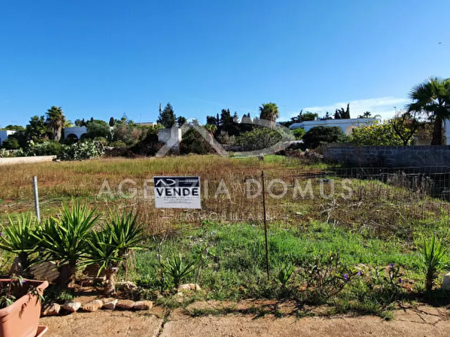 Immagine 6 di Terreno in vendita  in monte rosa a Racale
