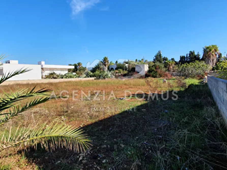 Immagine 7 di Terreno in vendita  in monte rosa a Racale