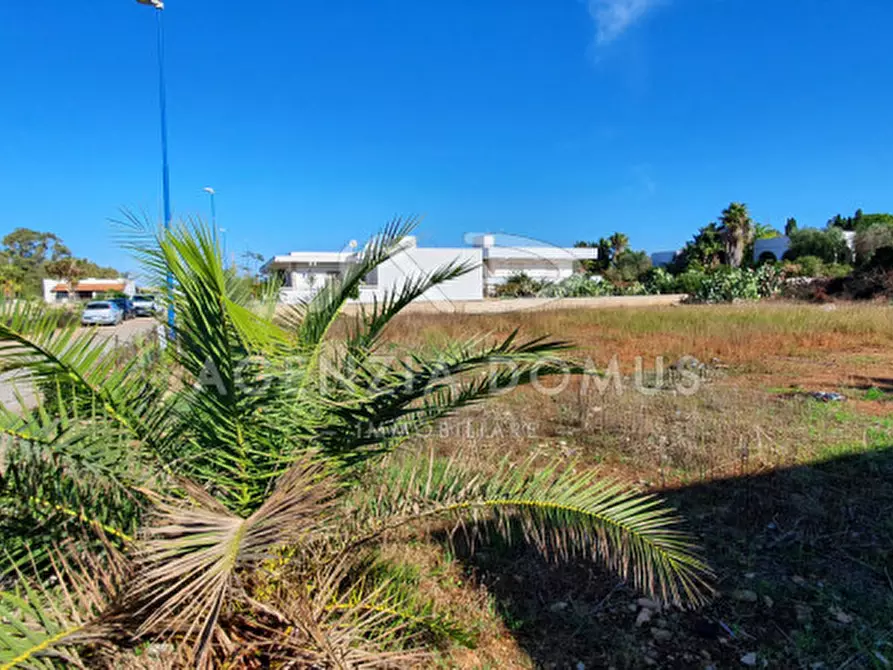 Immagine 8 di Terreno in vendita  in monte rosa a Racale