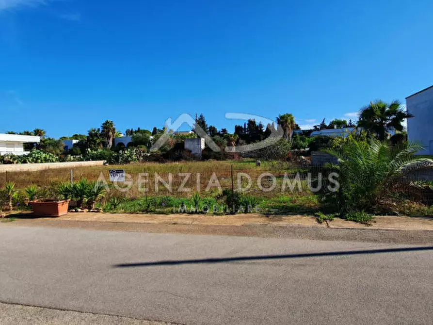 Immagine 9 di Terreno in vendita  in monte rosa a Racale