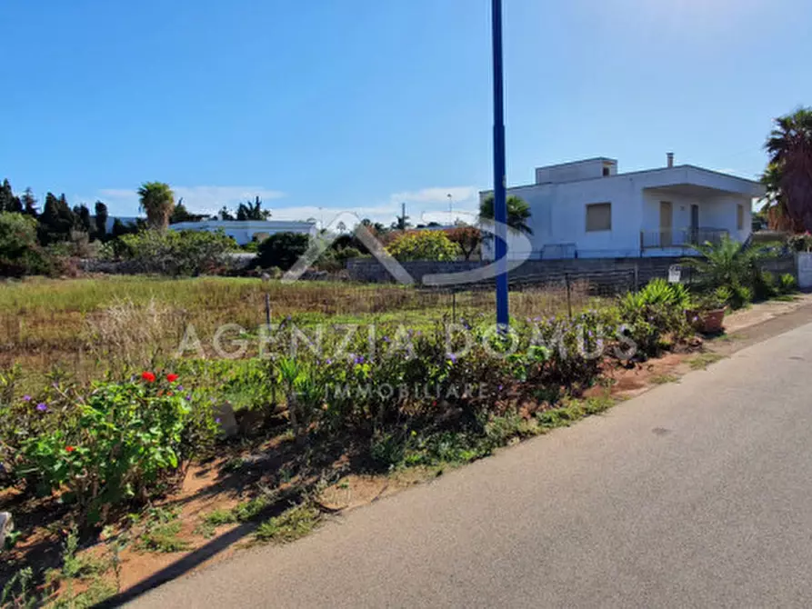 Immagine 10 di Terreno in vendita  in monte rosa a Racale