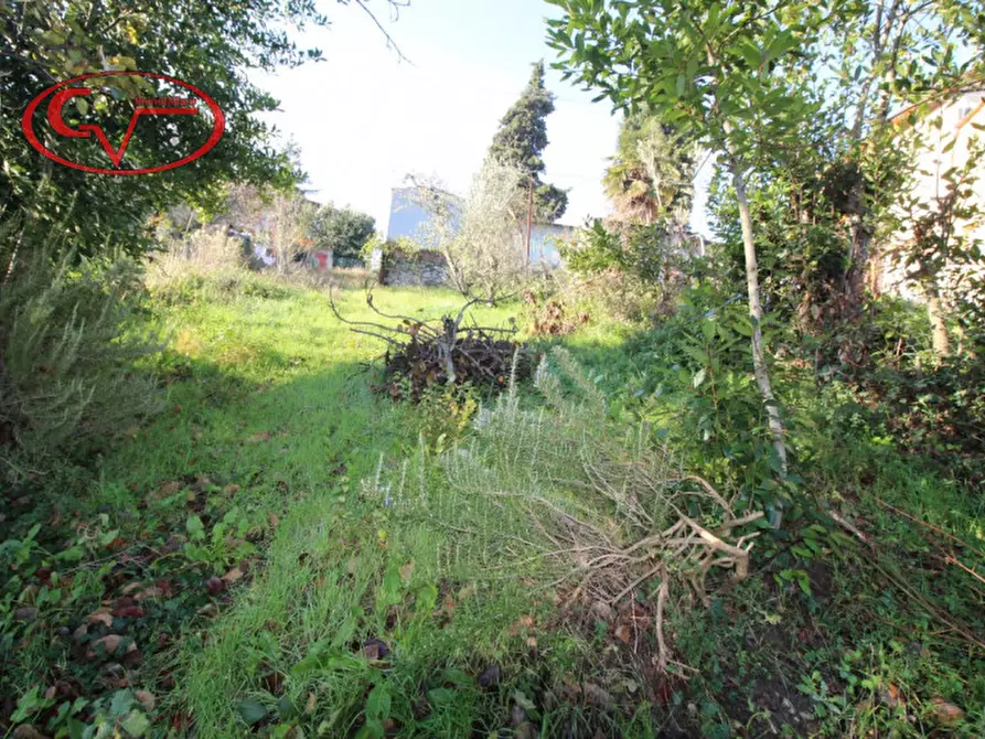 Immagine 5 di Appartamento in vendita  in grimoli a Cavriglia