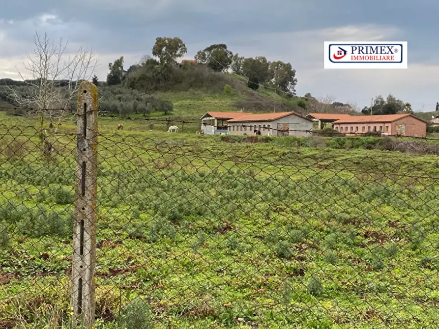 Immagine 2 di Terreno in vendita  in VIA LAURENTINA a Roma