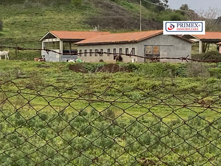 Immagine 4 di Terreno in vendita  in VIA LAURENTINA a Roma