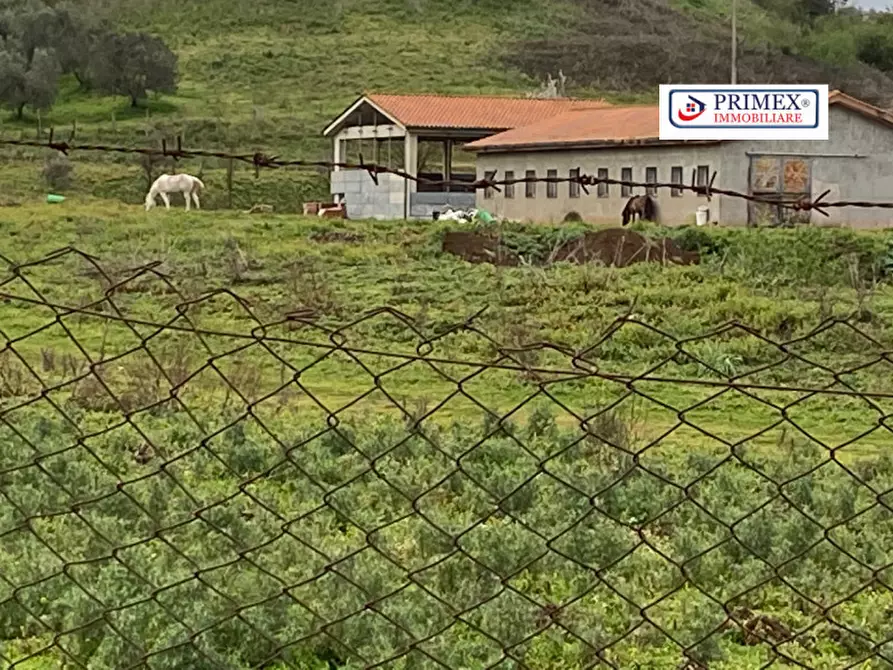 Immagine 5 di Terreno in vendita  in VIA LAURENTINA a Roma