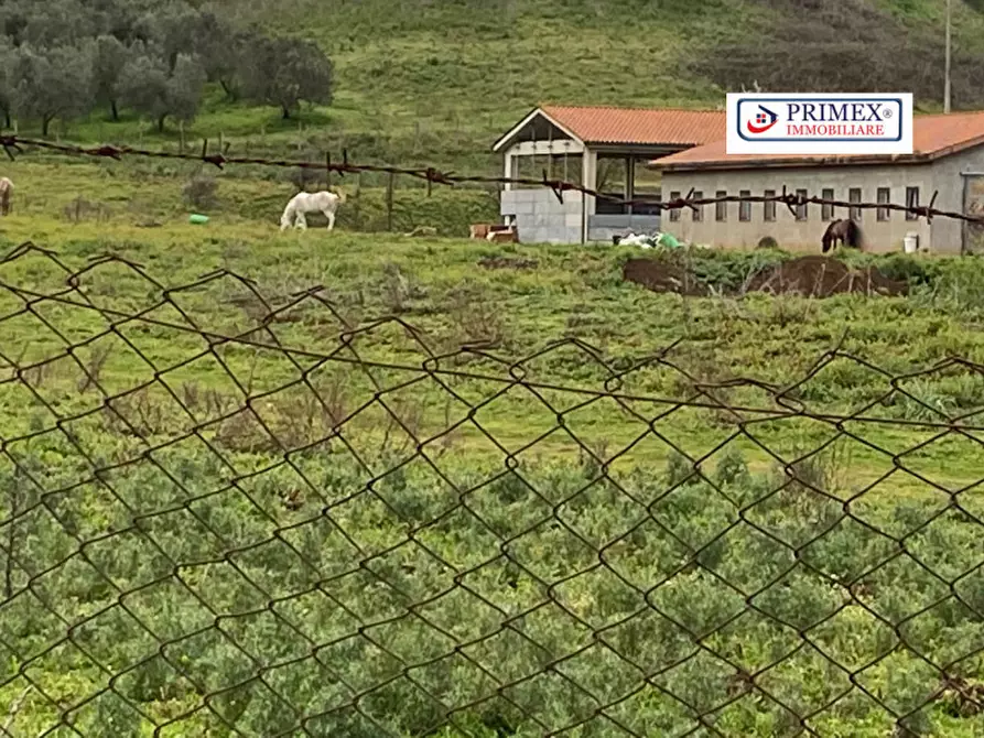 Immagine 6 di Terreno in vendita  in VIA LAURENTINA a Roma