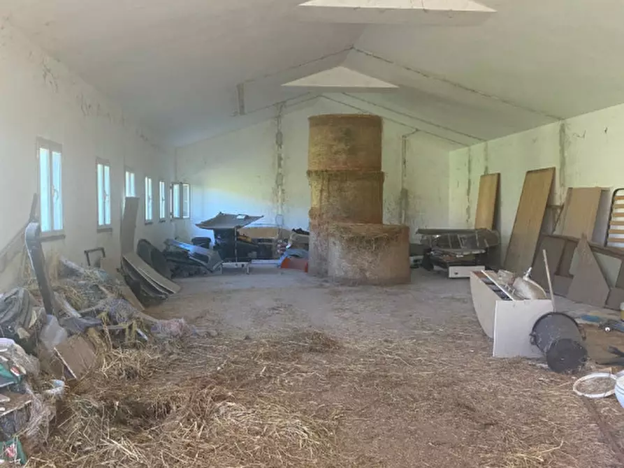 Immagine 7 di Terreno in vendita  in VIA LAURENTINA a Roma