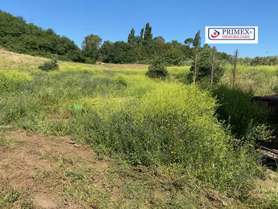 Immagine 12 di Terreno in vendita  in VIA LAURENTINA a Roma