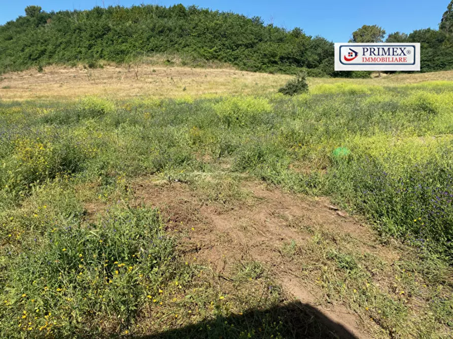 Immagine 13 di Terreno in vendita  in VIA LAURENTINA a Roma