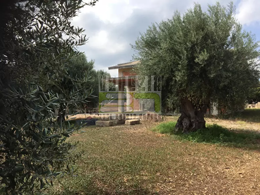Immagine 5 di Villa in vendita  in C/da Balata a Noto