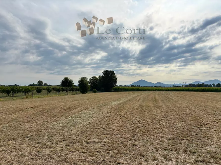 Immagine 2 di Rustico / casale in vendita  a Sossano