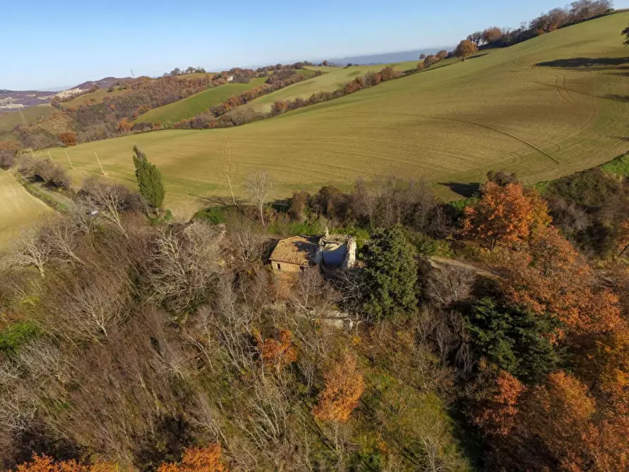 Immagine 2 di Rustico / casale in vendita  in Mezzanotte a Pergola