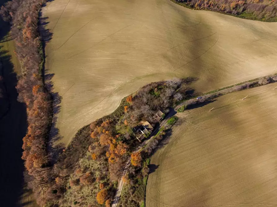 Immagine 3 di Rustico / casale in vendita  in Mezzanotte a Pergola