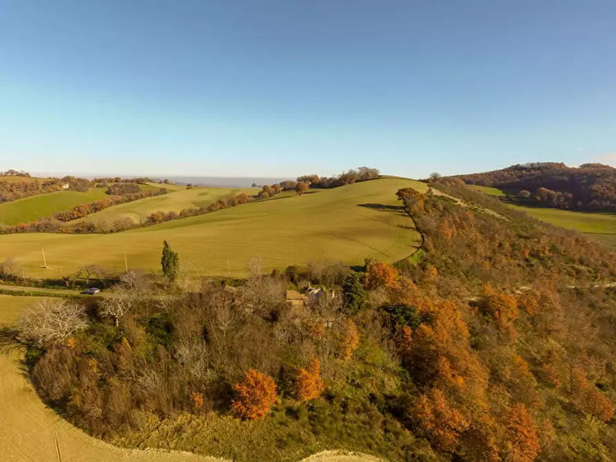 Immagine 9 di Rustico / casale in vendita  in Mezzanotte a Pergola