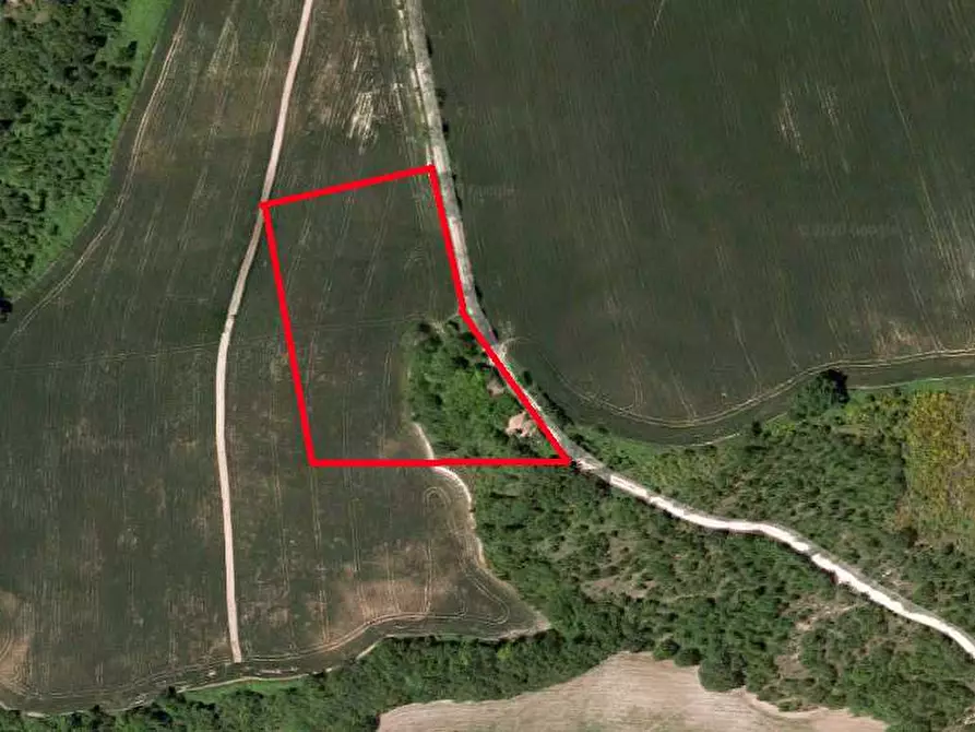 Immagine 11 di Rustico / casale in vendita  in Mezzanotte a Pergola