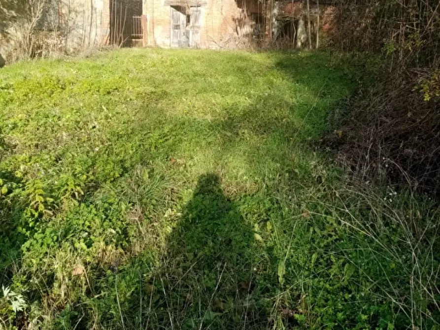 Immagine 2 di Rustico / casale in vendita  in sergine a Terranuova Bracciolini