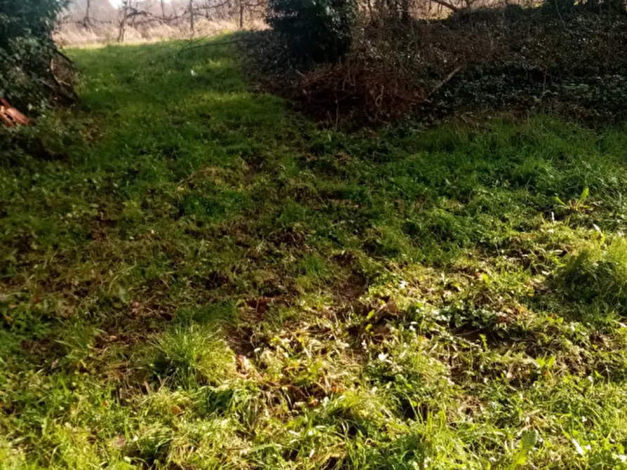 Immagine 3 di Rustico / casale in vendita  in sergine a Terranuova Bracciolini