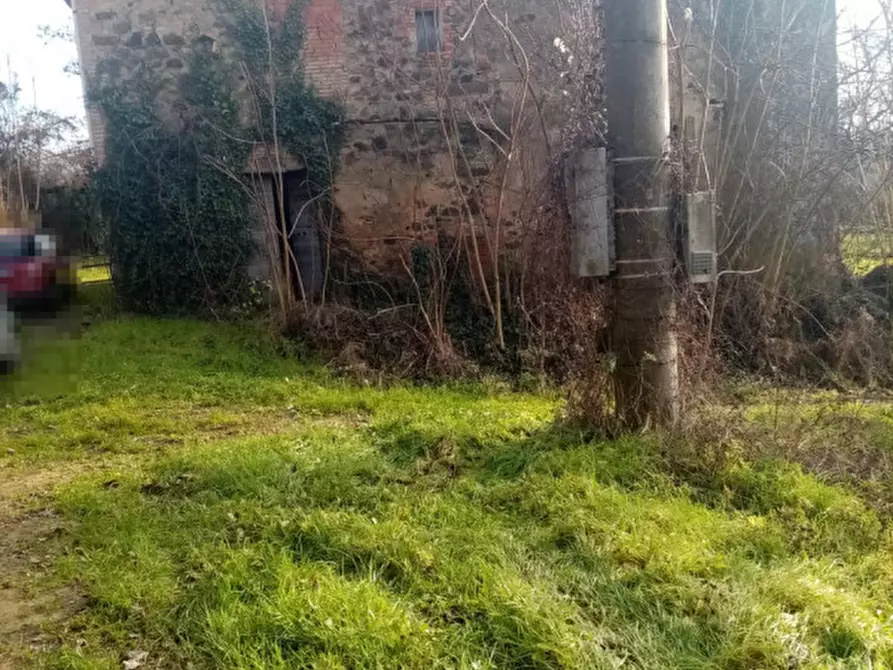Immagine 6 di Rustico / casale in vendita  in sergine a Terranuova Bracciolini