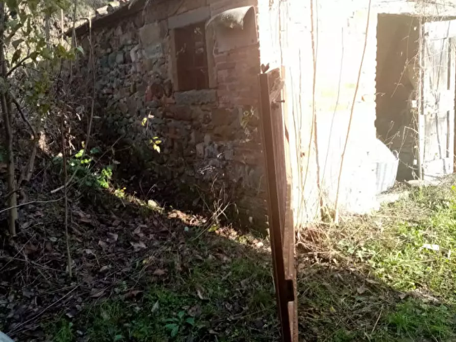 Immagine 7 di Rustico / casale in vendita  in sergine a Terranuova Bracciolini