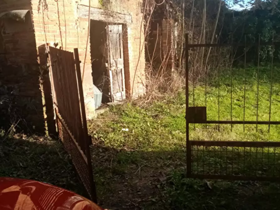 Immagine 9 di Rustico / casale in vendita  in sergine a Terranuova Bracciolini