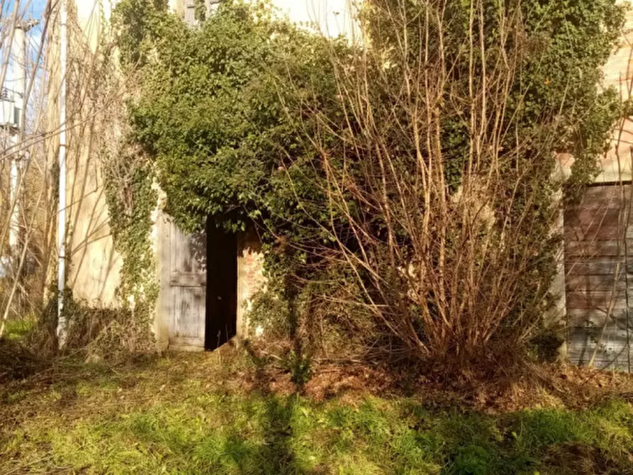 Immagine 10 di Rustico / casale in vendita  in sergine a Terranuova Bracciolini