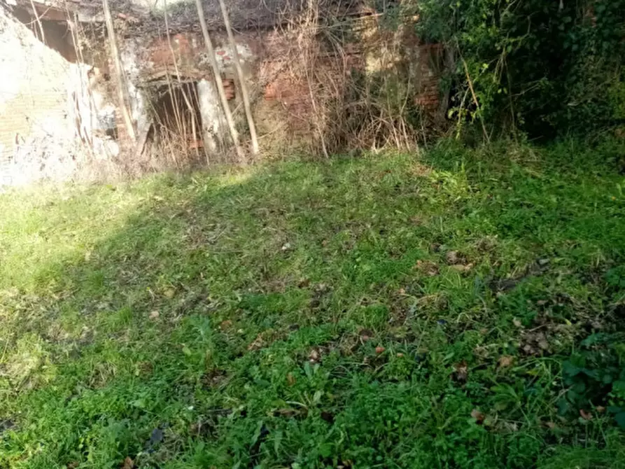 Immagine 11 di Rustico / casale in vendita  in sergine a Terranuova Bracciolini