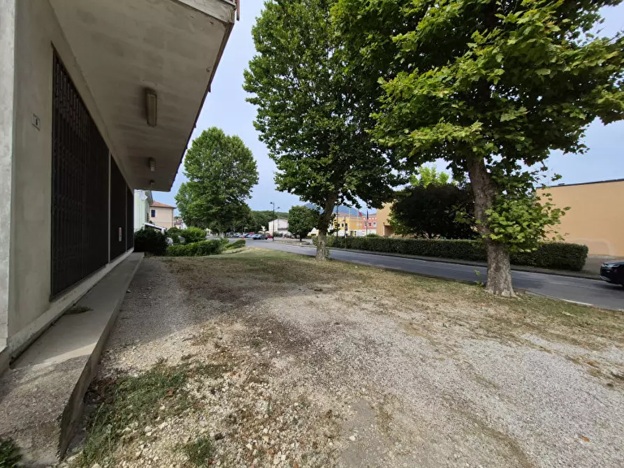 Immagine 6 di Laboratorio in vendita  in via europa a Lozzo Atestino
