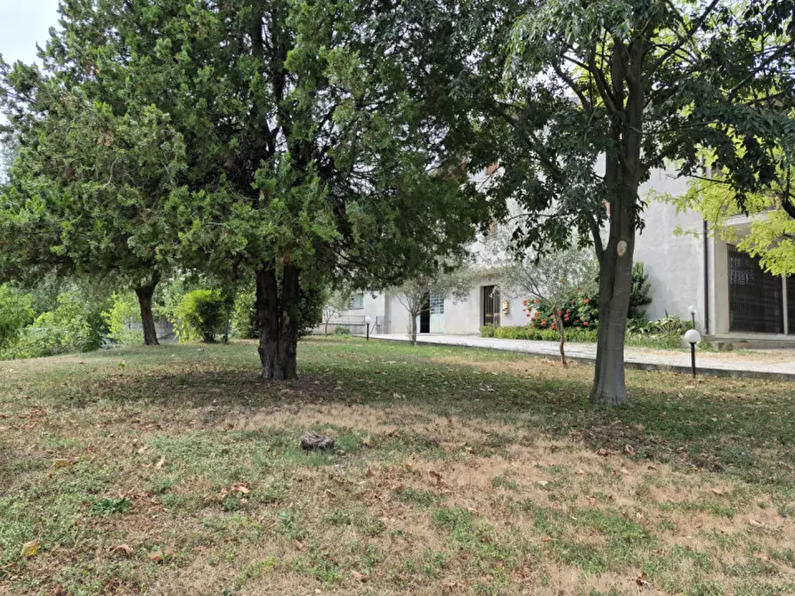 Immagine 7 di Laboratorio in vendita  in via europa a Lozzo Atestino