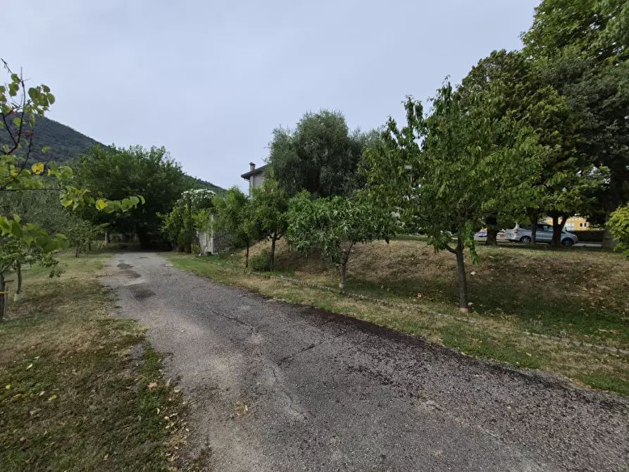 Immagine 8 di Laboratorio in vendita  in via europa a Lozzo Atestino