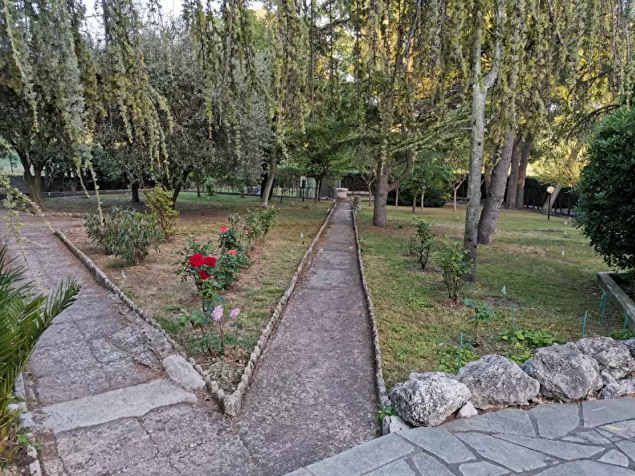 Immagine 27 di Villa in vendita  in Candia a Ancona