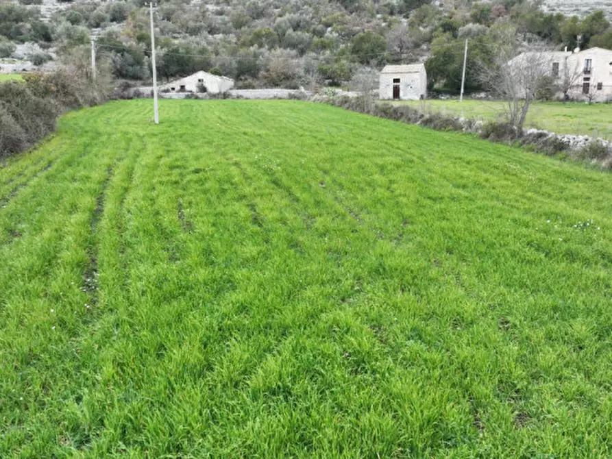 Immagine 4 di Rustico / casale in vendita  in Strada Consortile San Silvestro Rassabbia a Modica
