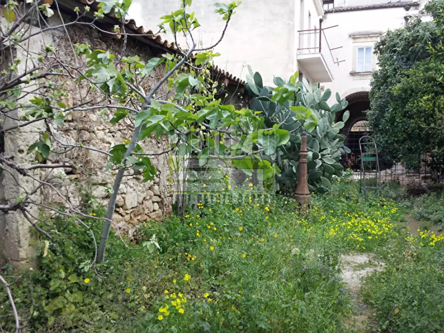 Immagine 2 di Rustico / casale in vendita  a Avola