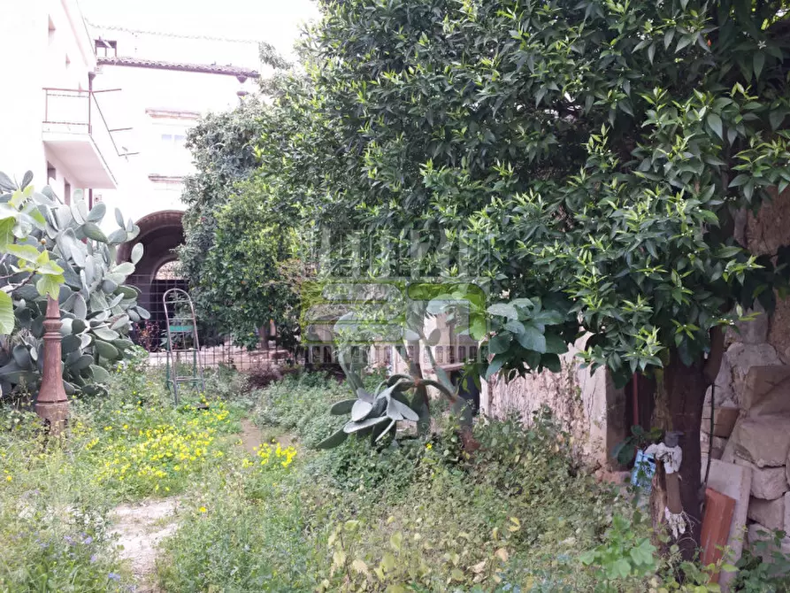 Immagine 3 di Rustico / casale in vendita  a Avola