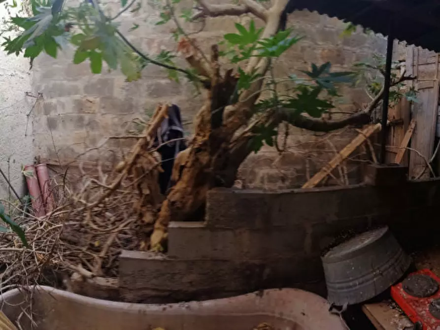 Immagine 7 di Casa indipendente in vendita  a Avola