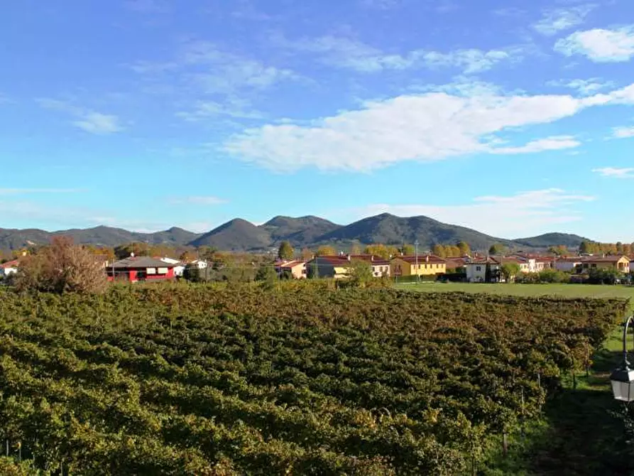 Immagine 1 di Terreno in vendita  in Via Giacomo Puccini a Galzignano Terme