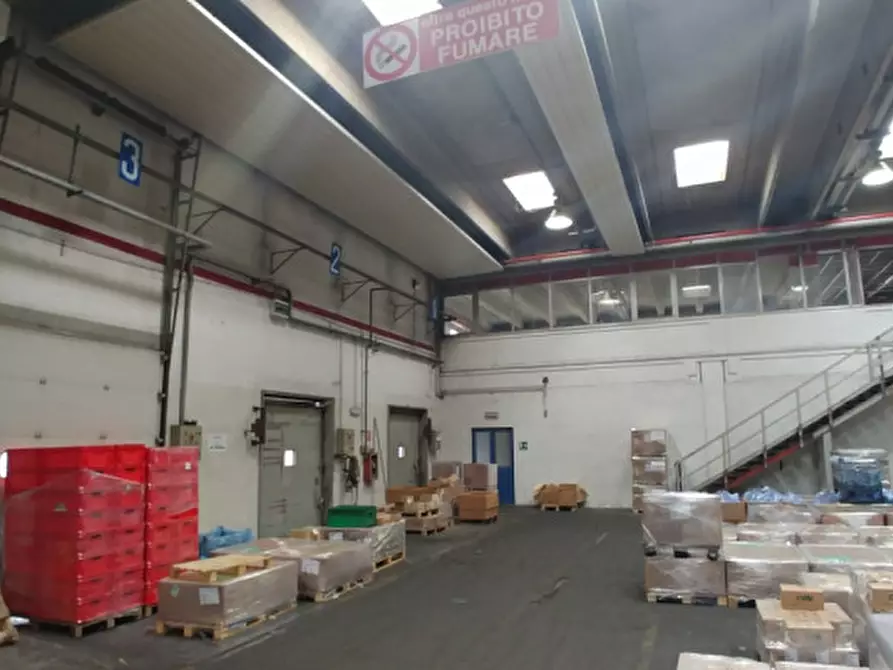 Immagine 21 di Magazzino in affitto  in VIA CAMPANIA a Monza